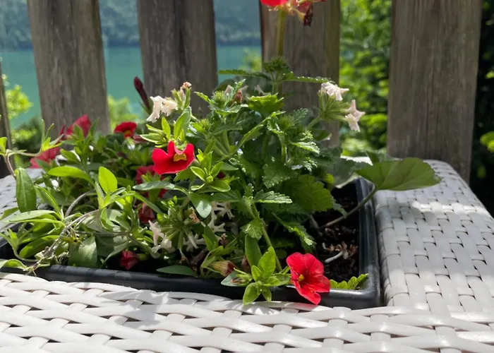 Seealm Dom wakacyjny *